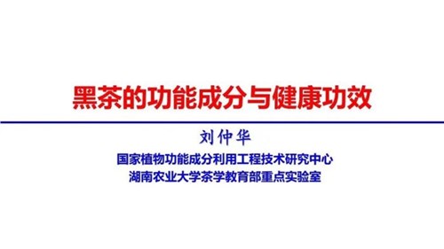 茶的功能成分與健康功效 | 茶、飲茶與健康