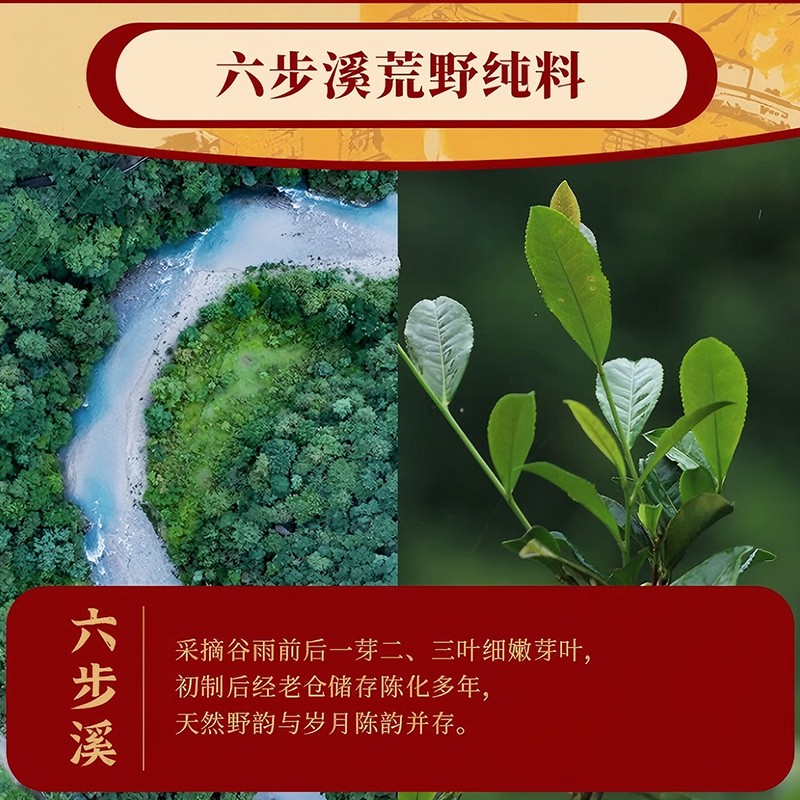 大師莊園乙巳百兩茶