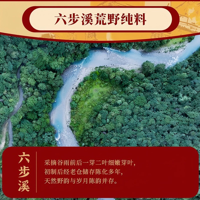 大師莊園乙巳茯磚茶