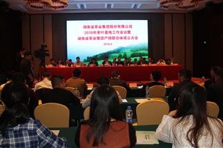  湖南省茶業(yè)集團(tuán)2018年茶葉基地工作會(huì)議 暨產(chǎn)銷(xiāo)聯(lián)合體成立大會(huì)成功召開(kāi)