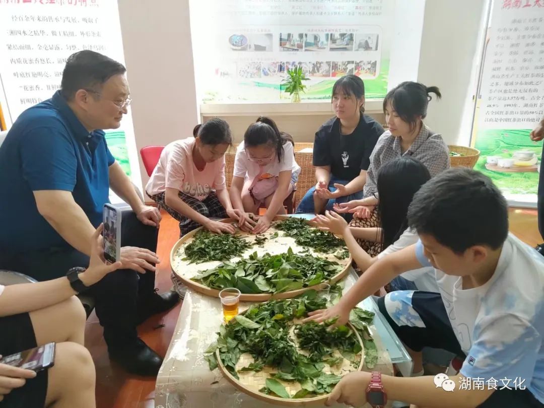 原載人民日報(bào)“人民視點(diǎn)”茶葉是怎樣做出來的？湖南大、中、小學(xué)生體驗(yàn)湖南工夫紅茶制作
